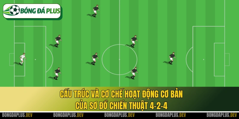 Cấu trúc và cơ chế hoạt động cơ bản của sơ đồ chiến thuật 4-2-4