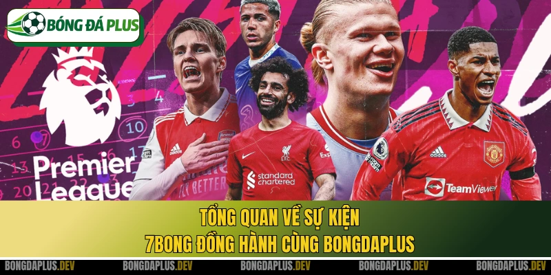 Tổng quan về sự kiện 7bong đồng hành cùng bongdaplus
