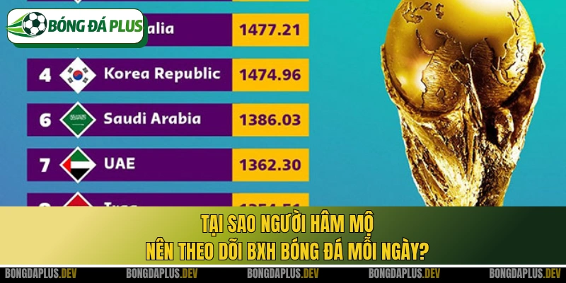 Tại sao người hâm mộ nên theo dõi BXH bóng đá mỗi ngày?