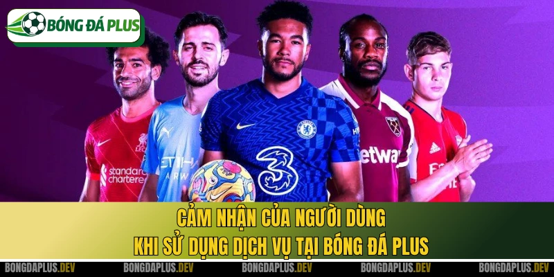 Cảm nhận của người dùng khi sử dụng dịch vụ tại Bóng Đá Plus