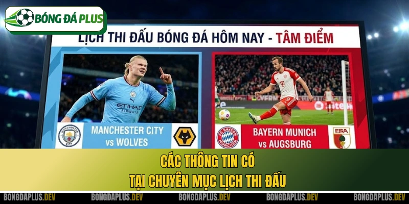 Các thông tin có tại chuyên mục lịch thi đấu