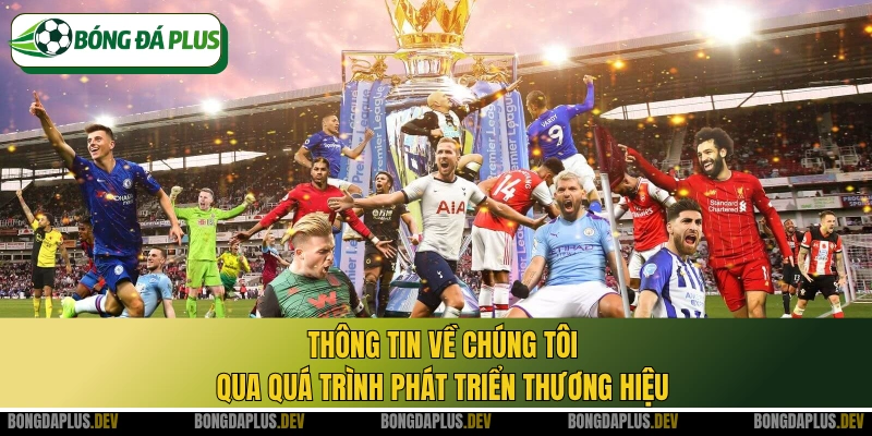 Thông tin về chúng tôi qua quá trình phát triển thương hiệu