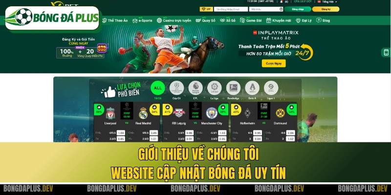 Giới thiệu về chúng tôi: website cập nhật bóng đá uy tín